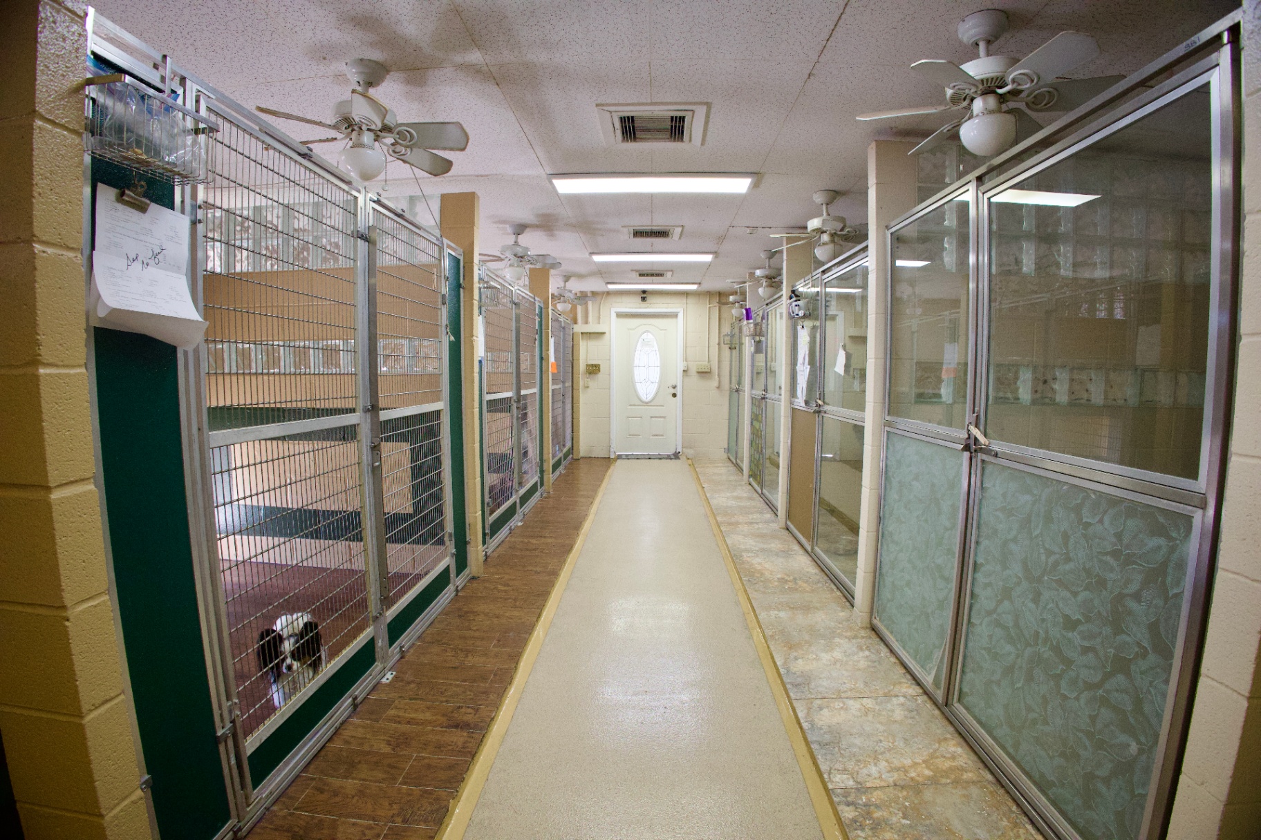 Overnight Boarding & Daycare 1