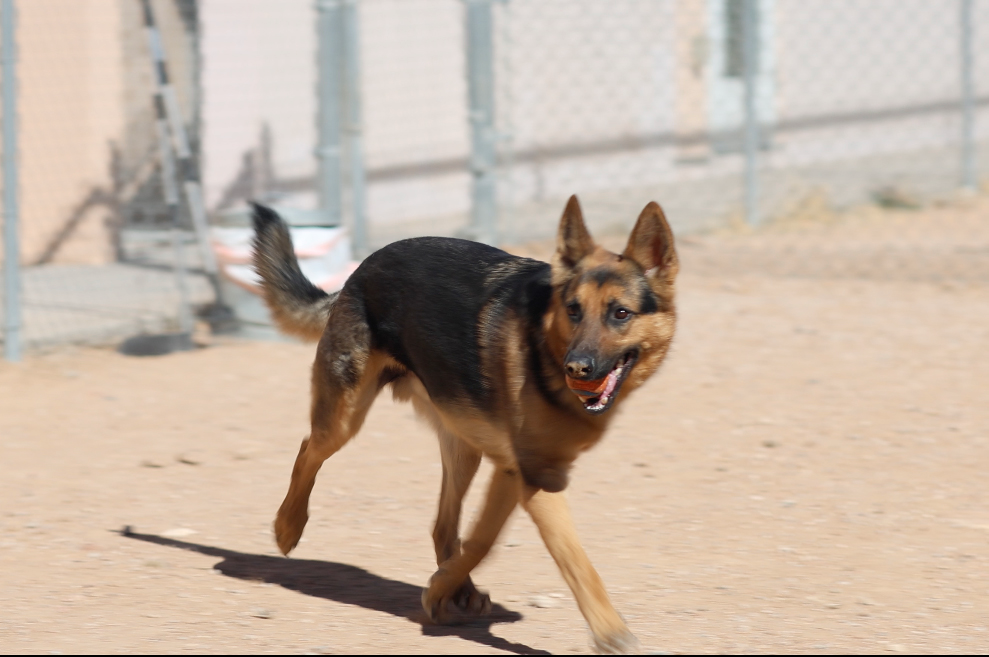 Supervised Individual Playtime